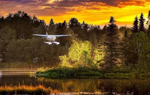 Ilustrasi seaplane (Dok: Int)