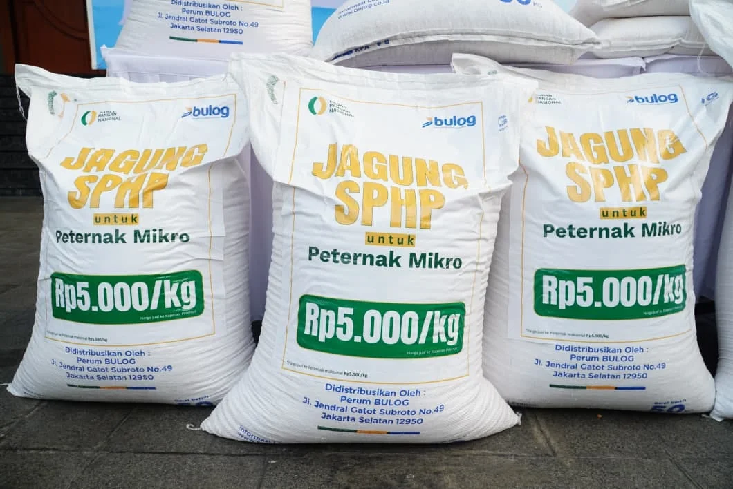 Jagung pakan (dok. Ist)