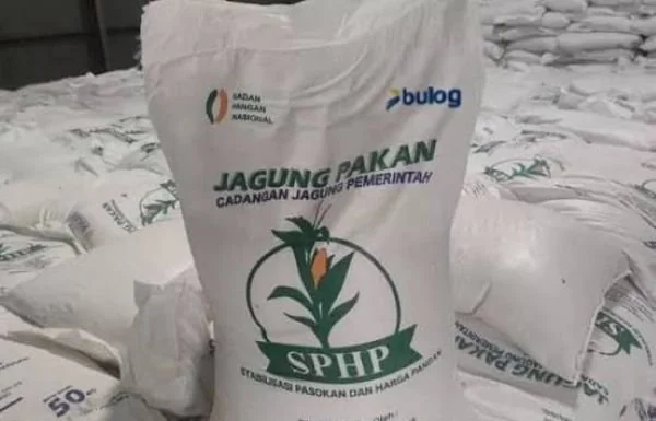 Jagung SPHP. (Dok: Ist)