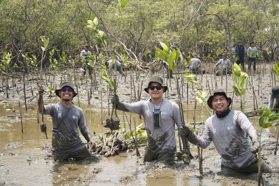Perkuat ekosistem pesisir Pangkep, Kalla Toyota menanam 43.000 pohon Mangrove dalam Rangka HUT Kalla ke-74 (Dok: Ist)