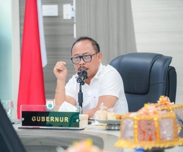 Gubernur Sulbar Suhardi Duka(dok:Ist)