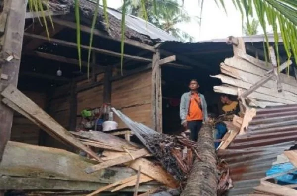 Kondisi rumah Allin (40) yang berlokasi di Dusun Pullipe, rusak usai ditimpa pohon. Dok. Ist