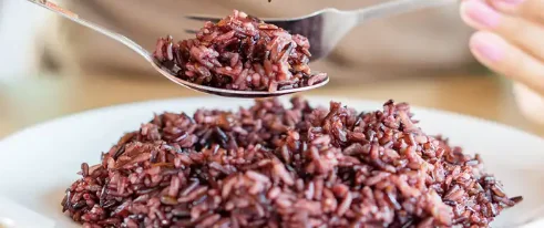 Nasi Merah (Foto : INT).