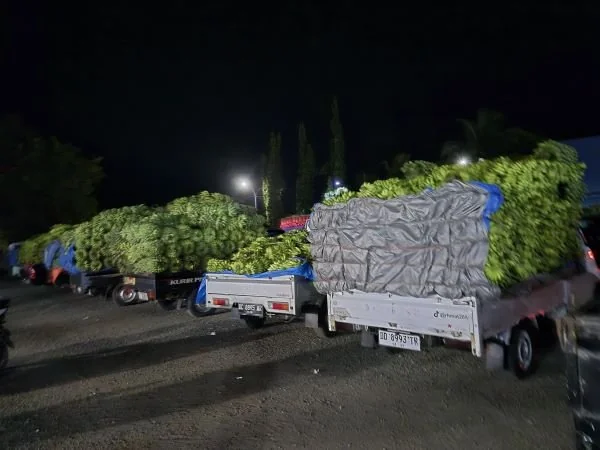 Puluhan kendaraan truck dan Pickup memadati Pelabuhan Feri Simboro Mamuju(dok:Aldy Djemmang)
