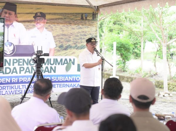 Presiden Umumkan Swasembada Pangan, Sulbar Catat Surplus Beras Hampir 70 Ribu Ton