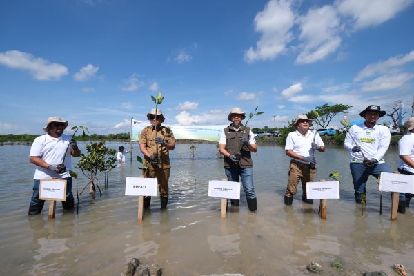 Mengakar Bersama untuk Energi Bersih, PLN Group Sulsel Tanam 10.150 Pohon di Jeneponto