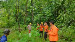 Seorang Lansia dengan Riwayat Pikun Dilaporkan Hilang di Hutan Gowa
