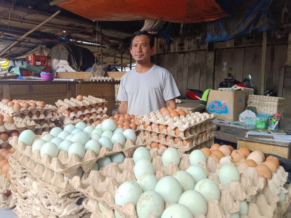 Harga Telur di Makassar Naik, Pedagang Sebut Dampak MBG dan Tekanan Nataru