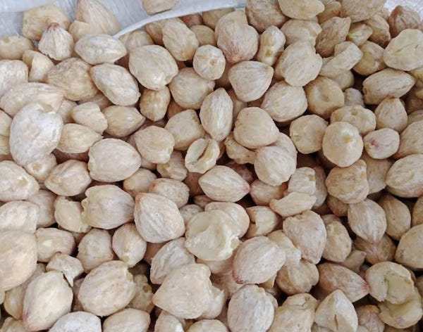 Tak Sekadar Bumbu, Ini Kandungan Gizi dan Manfaat Kemiri bagi Tubuh