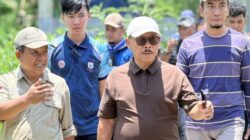 Dinas TPHP Sulbar Catat 1.928 Kelahiran Sapi dari Program IB Meningkat