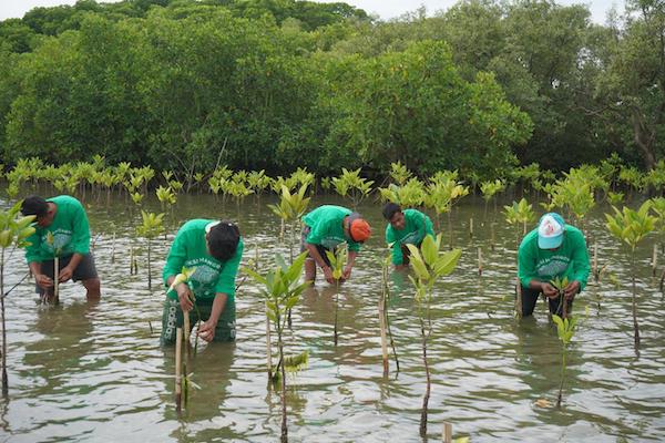 Lokasi CSR Aksi Mangrove Lestari Kalla Resmi Jadi Kawasan Konservasi
