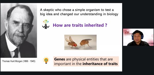 Kelompok Peneliti Unhas Perkenalkan Lalat Buah sebagai Model Riset Strategis