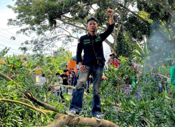 DOB Luwu Raya, Aktivis Nilai Gubernur Sulsel Gagal Tanggap Aspirasi