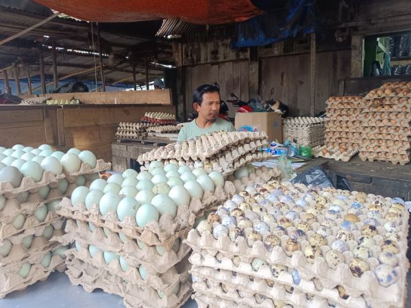Bukan Efek Ramadan, Pedagang Sebut MBG Picu Kenaikan Harga Telur di Makassar