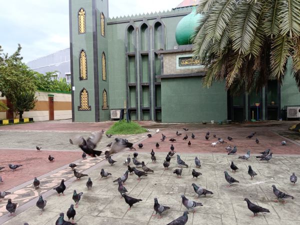 Masjid Arab Makassar, Jejak 100 Tahun Islam Bertahan Ditengah Perubahan Kota