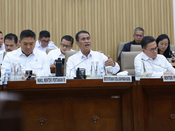 Pemerintah Terapkan Lartas, Target Swasembada Gula Dikejar Tahun Depan