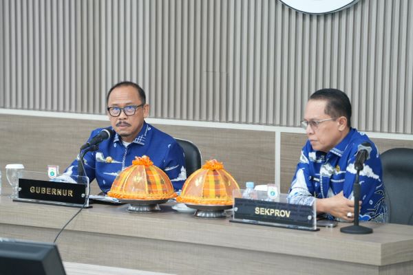 Cegah PHK Massal PPPK di Sulbar, Suhardi Duka Desak Relaksasi UU HKPD