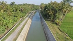 Pemprov Sulsel Antisipasi Dampak El Nino, Percepat Perbaikan Irigasi MYP Rp3,7 Triliun